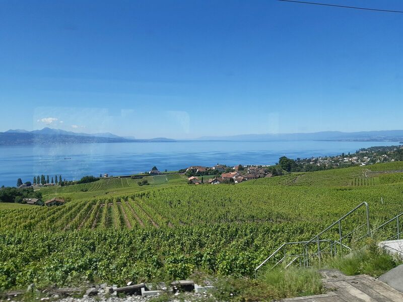 2020063005 Lausanne